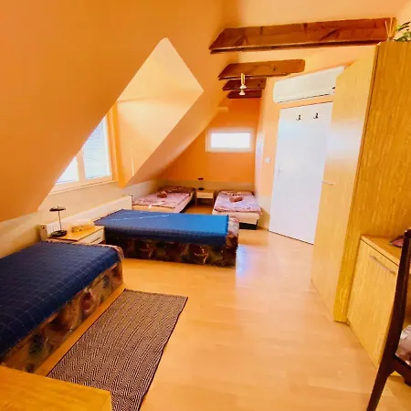 Pensionat Tyche Surany