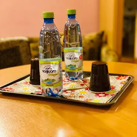 Guest house Tyche Surany