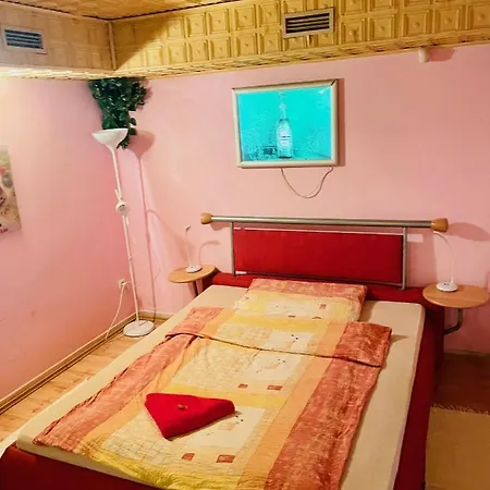 Pensionat Tyche Surany