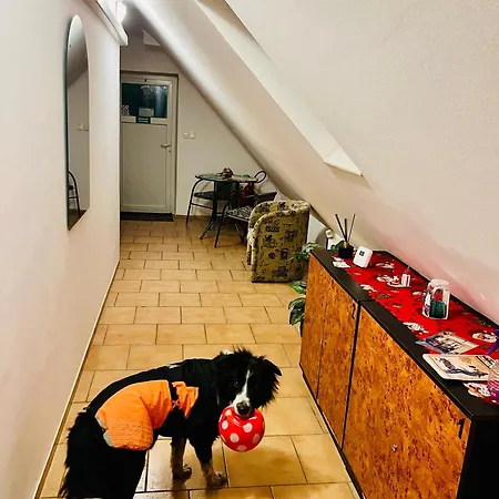 Tyche Pensjonat Surany