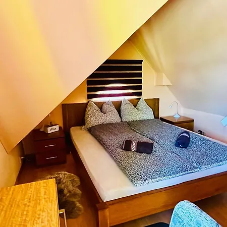 Tyche Guest house