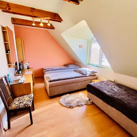 Guest house Tyche 3*