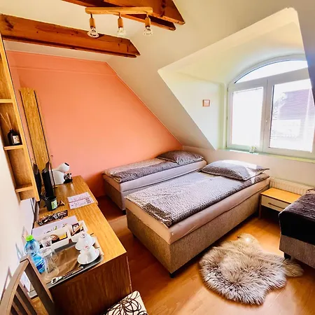 Tyche Guest house Surany