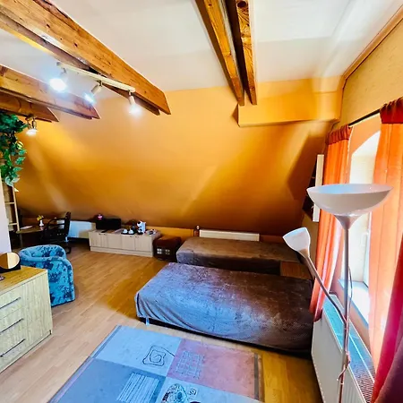 Guest house Tyche Surany